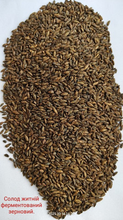 Продам солод (malt) житній, кукурудзяний, вівсяний, ферментований та не ферментований. Львів - зображення 3