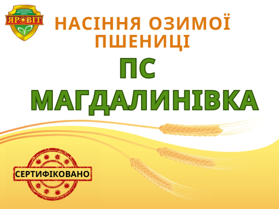 Насіння пшениці озимої сертифіковане еліта Полтава