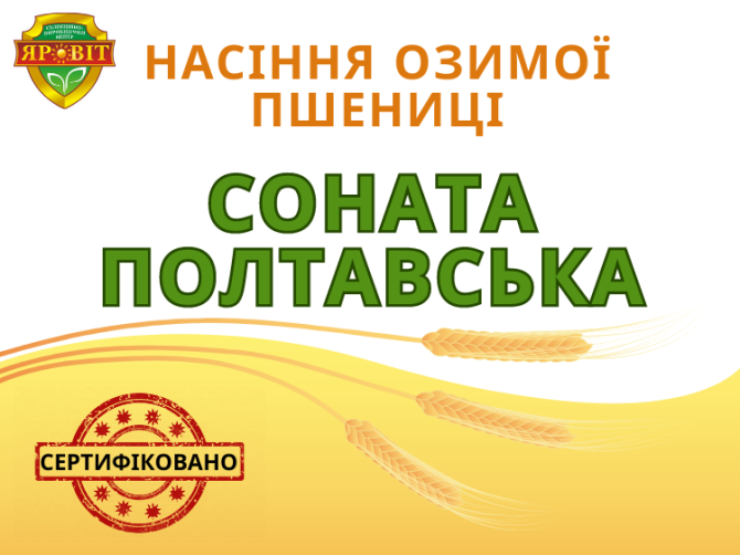Насіння пшениці озимої сертифіковане еліта Полтава - изображение 1