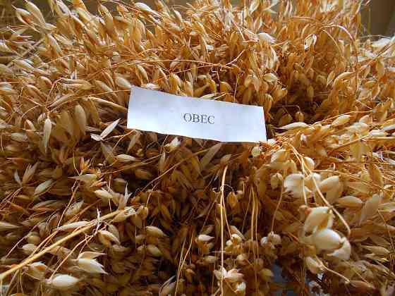 овсяная мука оптом Киев