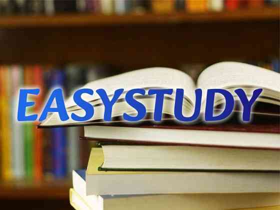 Замовити розробку стартап-проєкту до ВКР в Україні Киев