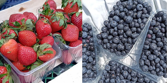 Продам свіжу полуницю та лохину Київ - зображення 1