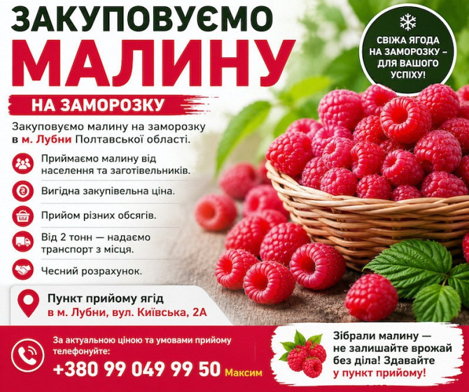 Куплю малину на заморозку Полтава - зображення 1