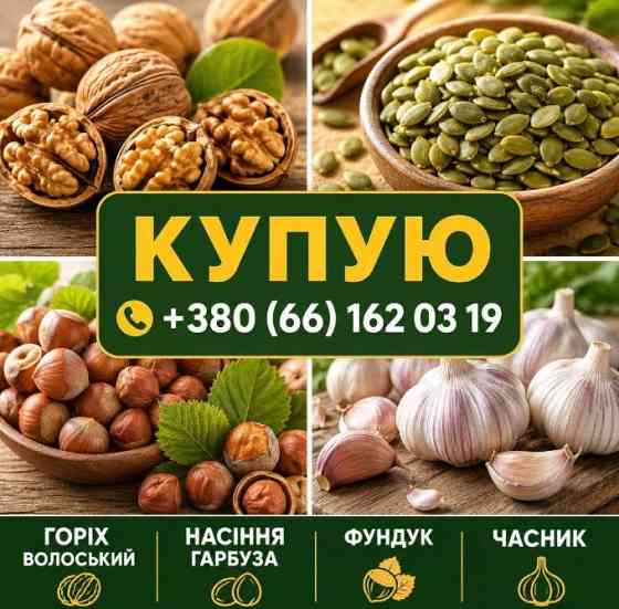 Куплю часник, горіхи, насіння гарбуза Кропивницький