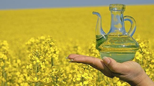 Компанія Закуповує Ріпак Дорого Одесса - изображение 2