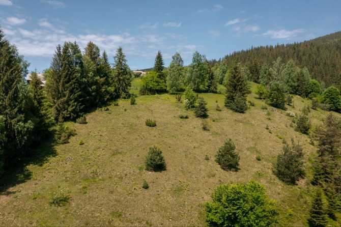 Земельна ділянка в Микуличині 1.29 га Яремче - изображение 6