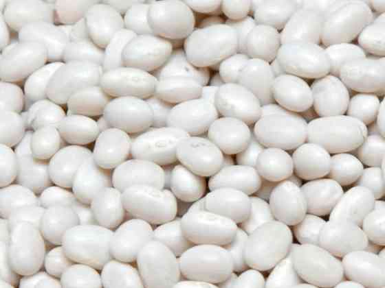 Квасоля оптом від виробника. 20 сортів в асортименті Луцьк