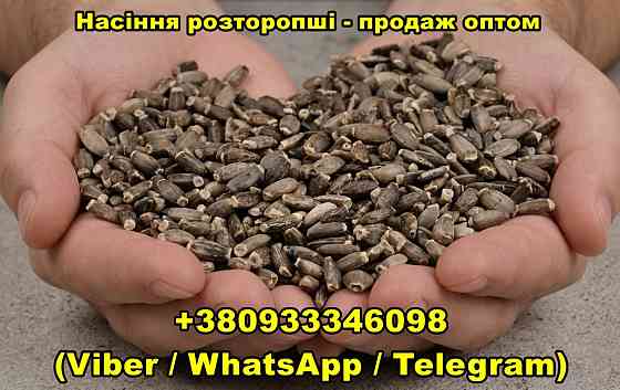 Насіння розторопші — продаж оптом Дніпро