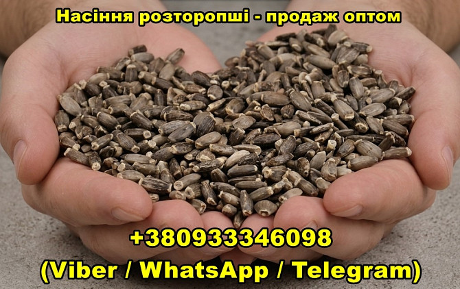 Насіння розторопші — продаж оптом Дніпро - зображення 1
