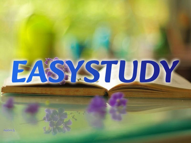 Замовити розробку стартапу до ВКР в Україні Киев - изображение 1