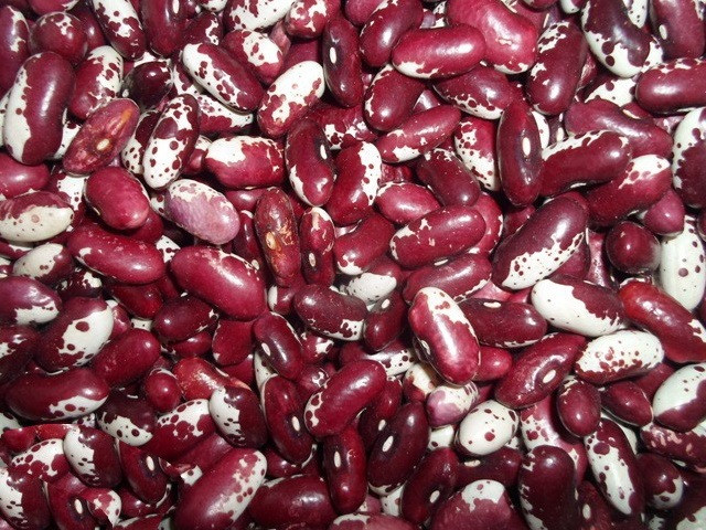 Квасоля в наявності. Продаж квасолі. Купити квасолю. Запорожье - изображение 1