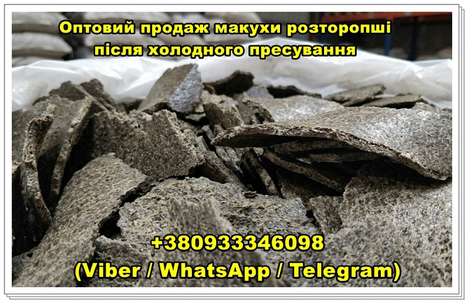 Продаж макухи розторопші після холодного віджиму олії оптом Одесса - изображение 1