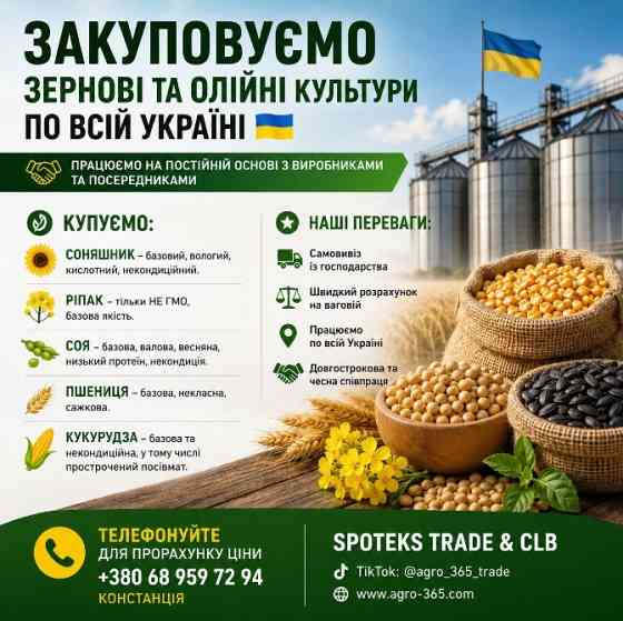 Купуємо зернові, олійні, бобові. База, некондиція Львів