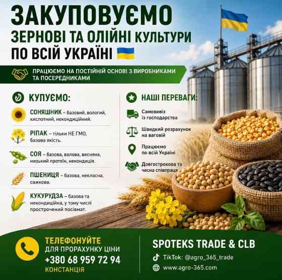 Закупка зернових, олійних, бобових. База, некондиція Дніпро