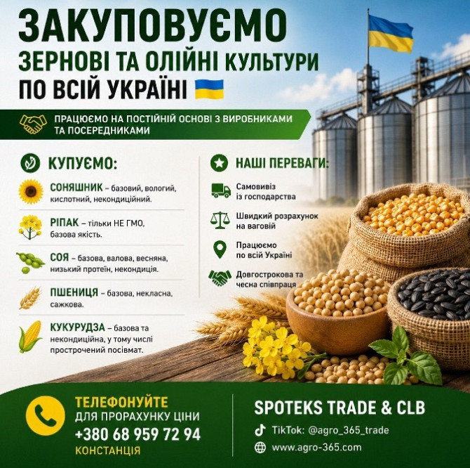 Закупка зернових, олійних, бобових. База, некондиція Дніпро - зображення 1
