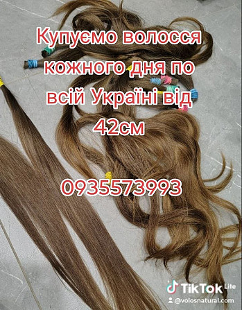 Скуповуємо волосся в Києві та по всій Україні від 42 см -0935573993 Киев - изображение 1