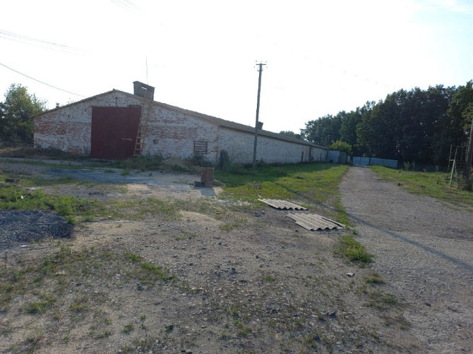 Продається діючий елеваторний комплекс з залізничною гілкою. Балта - изображение 11