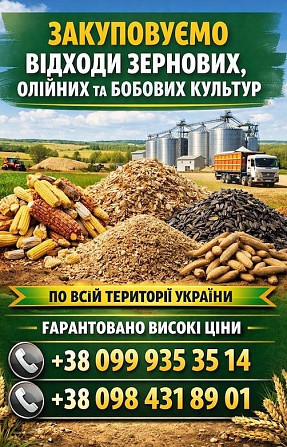 Куплю некондицію, зерновідходи та побічну агропродукцію Харків - зображення 1