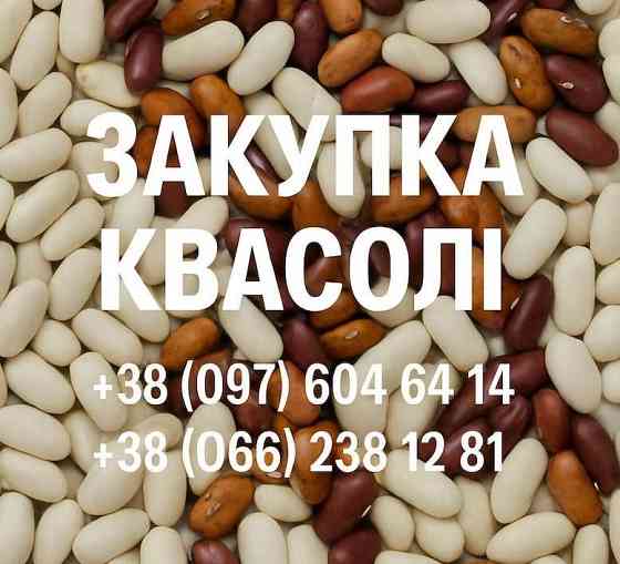 Купуємо квасолю для потреб підприємства Одесса