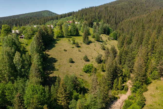 Земельна ділянка в Микуличині 1.29 га Яремче - изображение 5