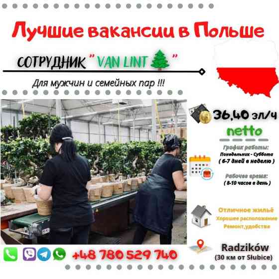 VAN LINT🌲| Słubice+ Нидерланды Дніпро