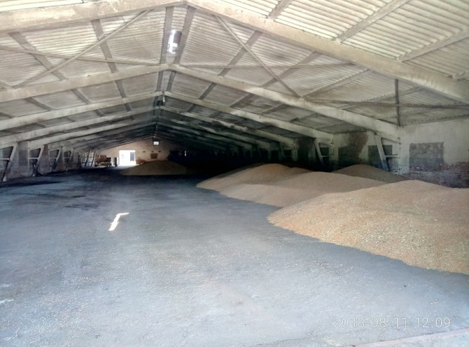 Продається діючий елеваторний комплекс з залізничною гілкою. Балта - изображение 12