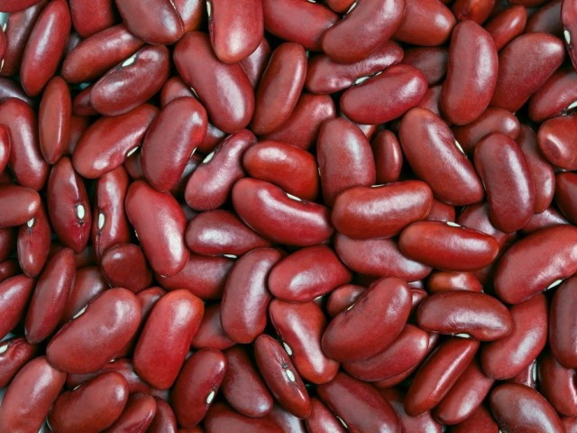 Високоякісна квасоля оптом Одесса - изображение 1