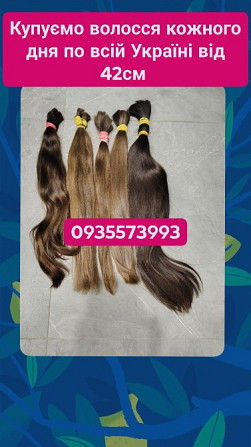 Скуповуємо волосся кожного дня по всій Україні від 42см -0935573993 Винница - изображение 1