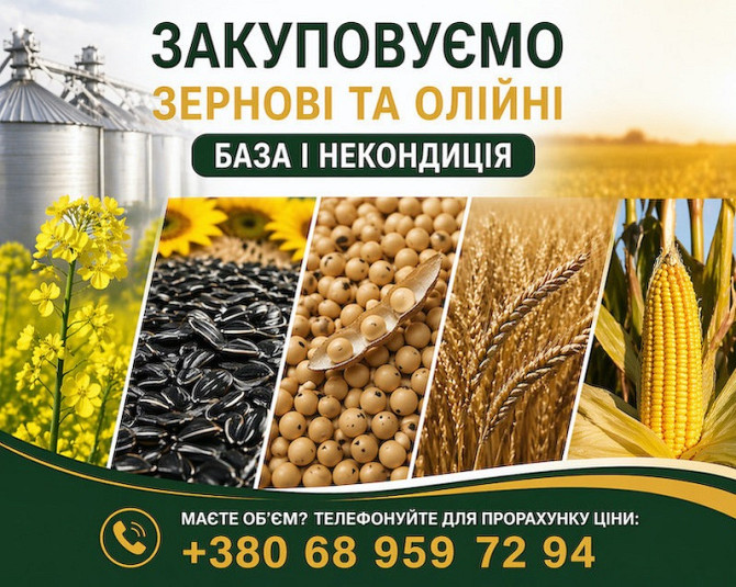 Закуповуємо сільськогосподарські культури (база та некондиція) Львів - зображення 1