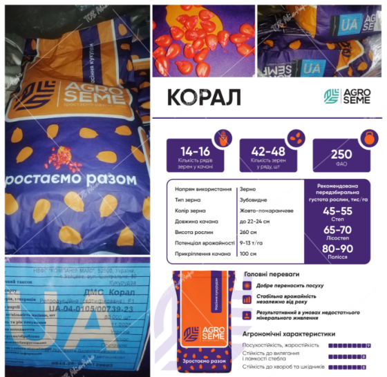 Насіння кукурудзи Корал ФАО 250 Кропивницкий (Кировоград)