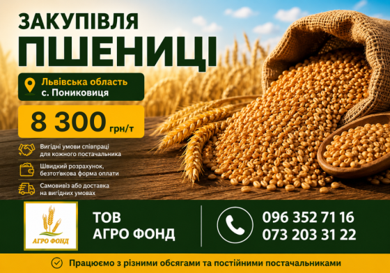 КУПЛЮ Фуражну пшеницю на склад (білок 10+) Львов