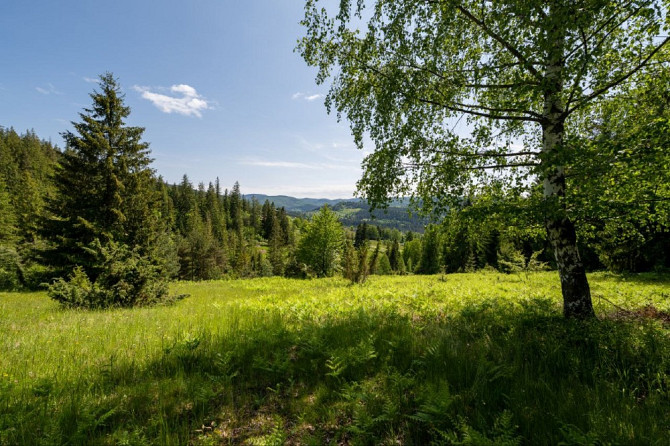 Земельна ділянка в Микуличині 1.29 га Яремче - изображение 9