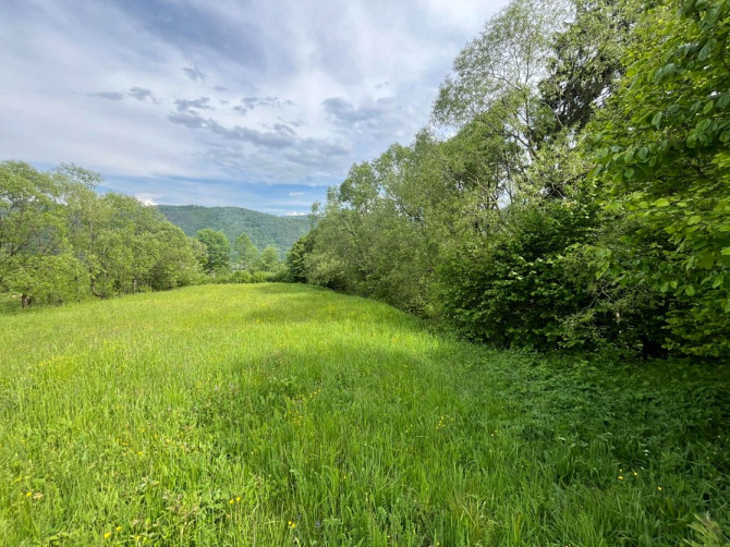 Земельна ділянка 0.18 га в Яремче Яремче - зображення 11