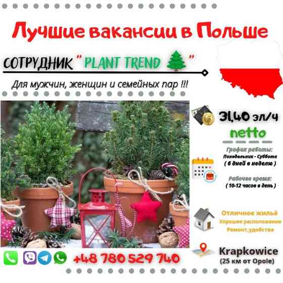 PLANT TREND 🌲| всекрупные города Польши+ Нидерланды Львів