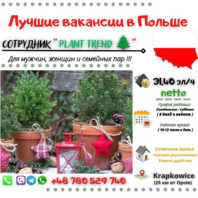 PLANT TREND 🌲| всекрупные города Польши+ Нидерланды Львів - зображення 1