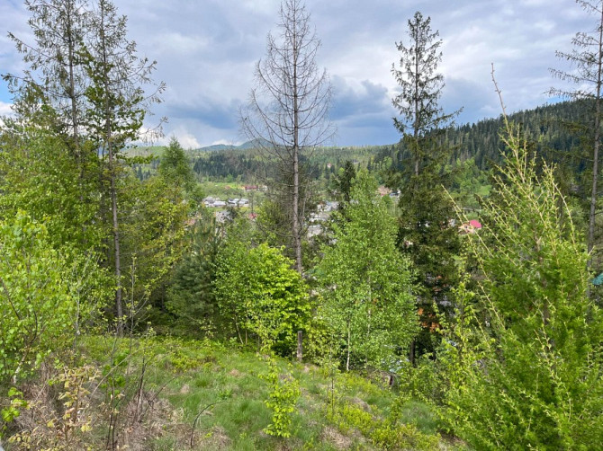 Земельна ділянка в Микуличині 0.08 га. Яремче - зображення 9