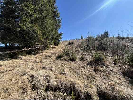 Земельна ділянка в Яблуниці 0.25 га Яремче