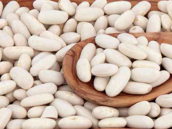 Квасоля різних сортів в наявності Суми