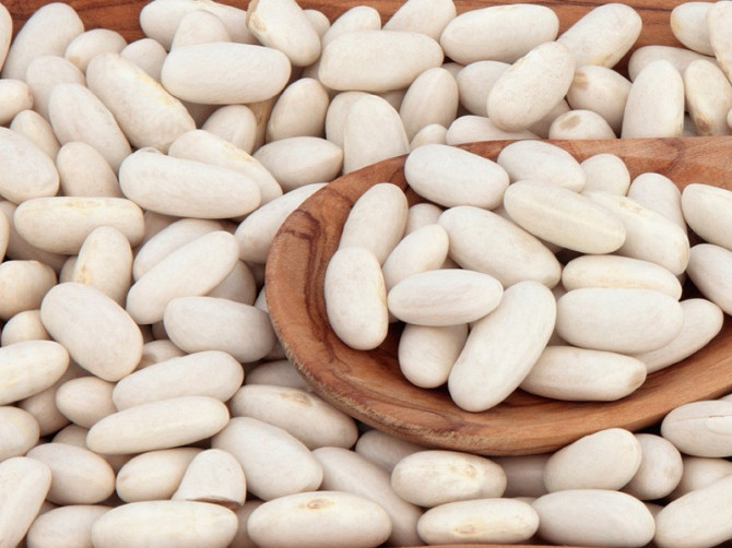 Квасоля різних сортів в наявності Суми - зображення 1