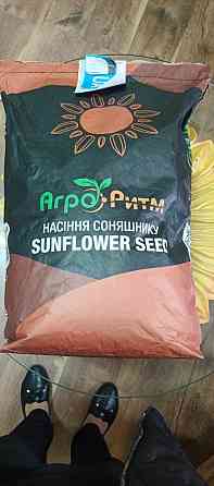 Насіння соняшнику Бомонд ЕКСТРА Любашёвка