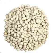 Закуповуємо квасолю оптом на консервування Львів