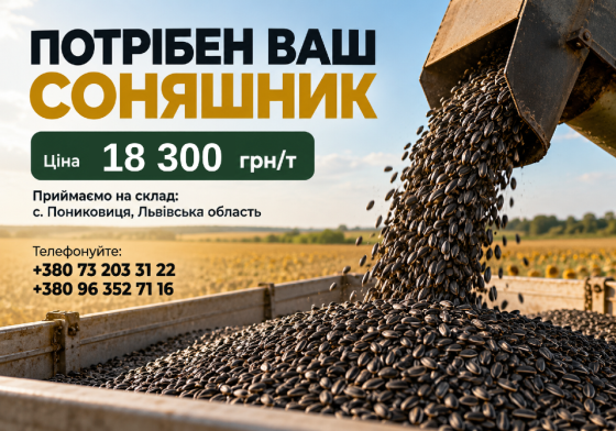 Потрібен ваш соняшник! Львів