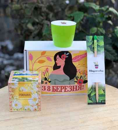 Еко-рішення: корпоративні подарунки на 8 березня з логотипом вашої компанії Житомир
