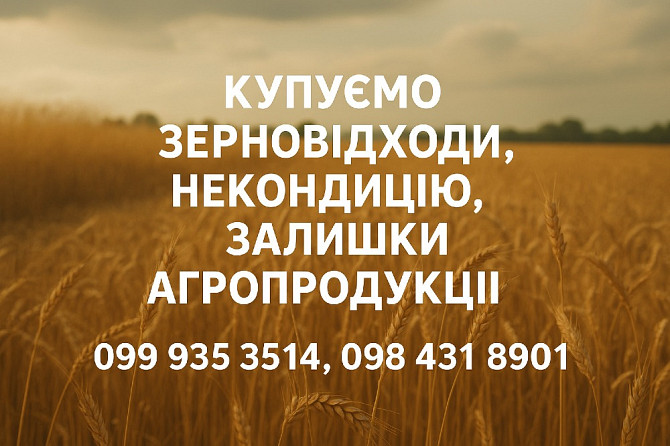 Закуповуємо зерновідходи, некондицію (соняшник, соя, кукурудза, пшениця, ячмінь, просо) Харків - зображення 1