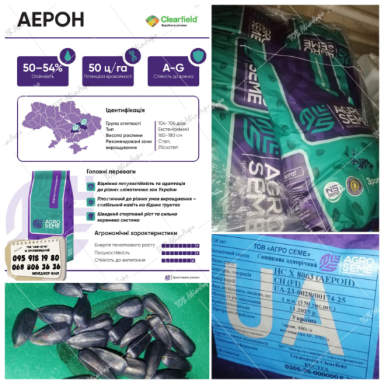 Насіння соняшника Аерон під Євролайтінг 7+ рас фракція екстра Кропивницкий (Кировоград)