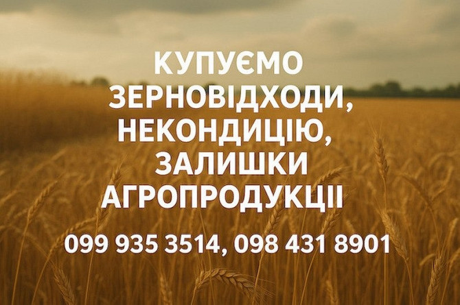 Закупівля некондиційного зерна та зерновідходів Черкассы - изображение 1