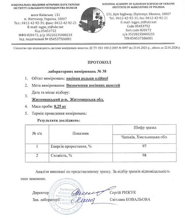 Насіння редьки олійної для сидерату Житомир - изображение 2