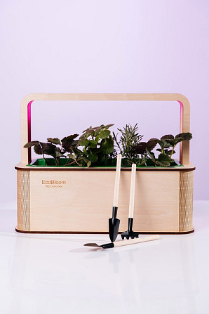 EcoBloom Smart Garden Розумний сад вдома Львов - изображение 3