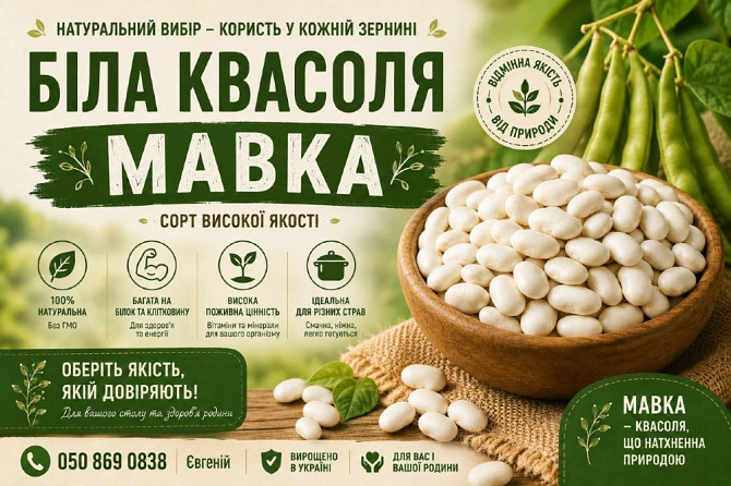 Продаж квасолі Біла мавка(рисовка) Одесса - изображение 1