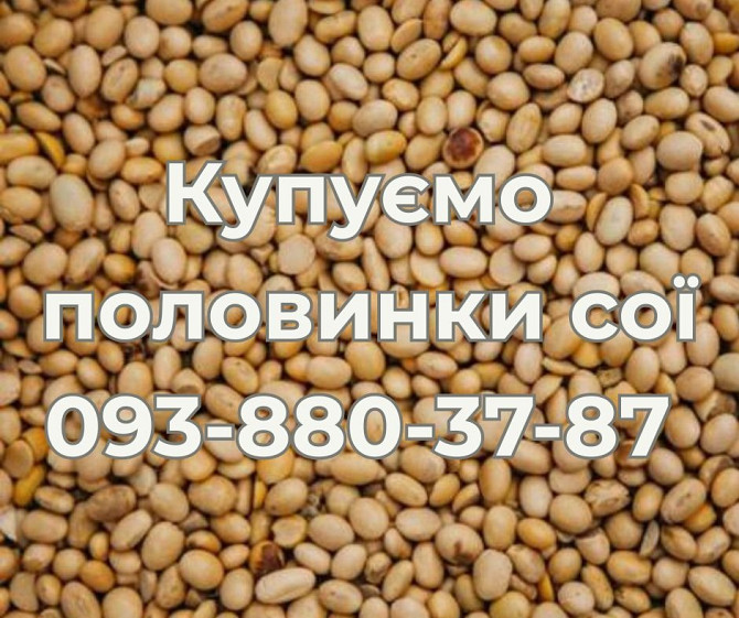 Закупівля половинки сої. Самовивіз Кропивницький - зображення 1